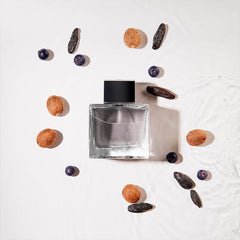 Seduction in Black EDT