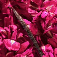 LIFE IS BEAUTIFUL INTENSELY EDP