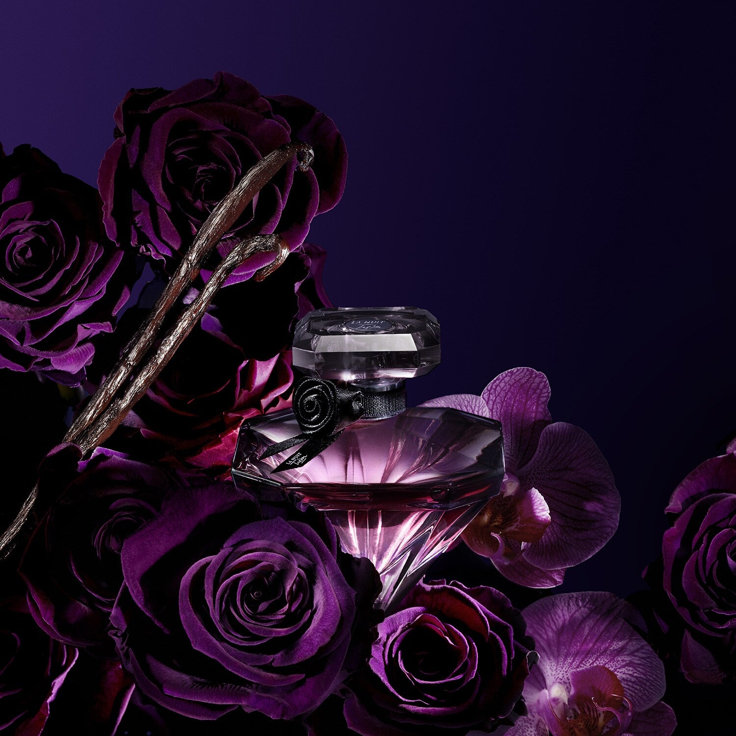 The Night Treasure Eau De Parfum