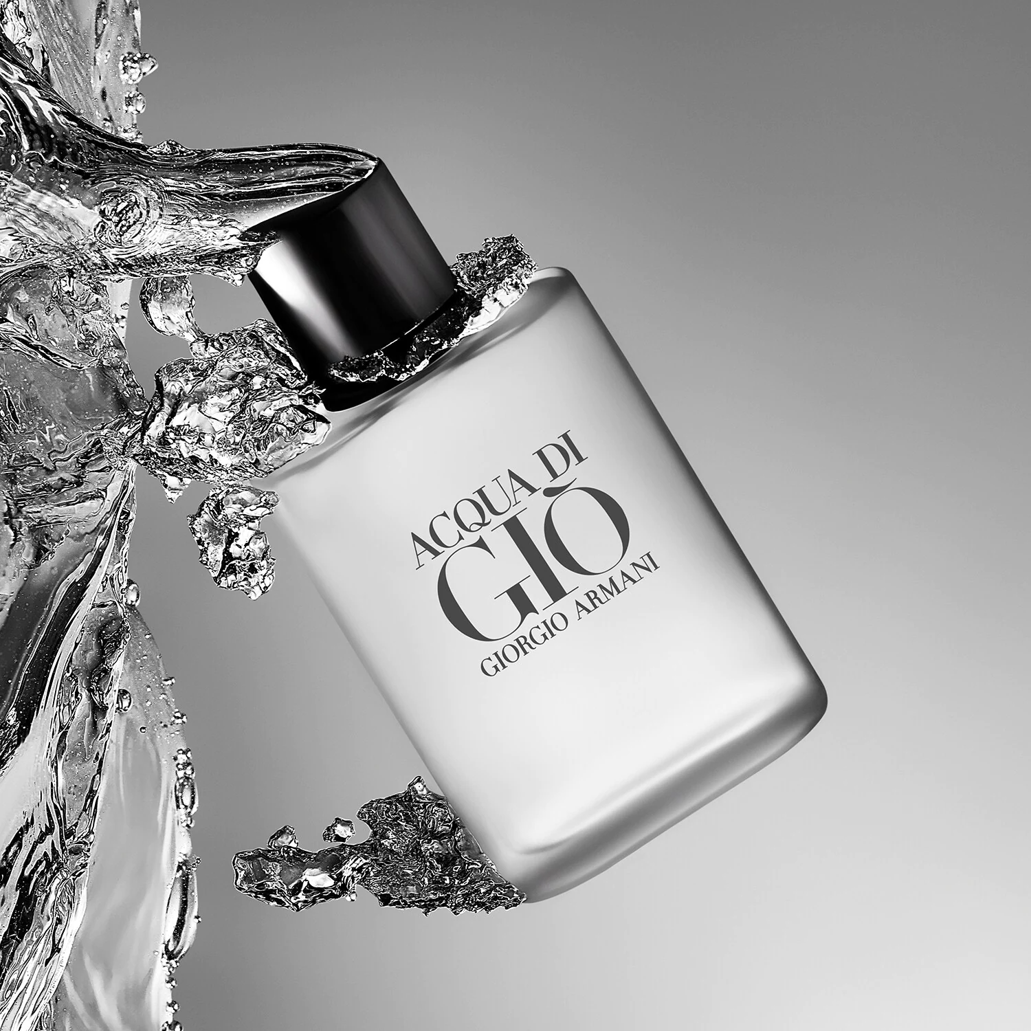 ACQUA DI GIO Eau De Toilette